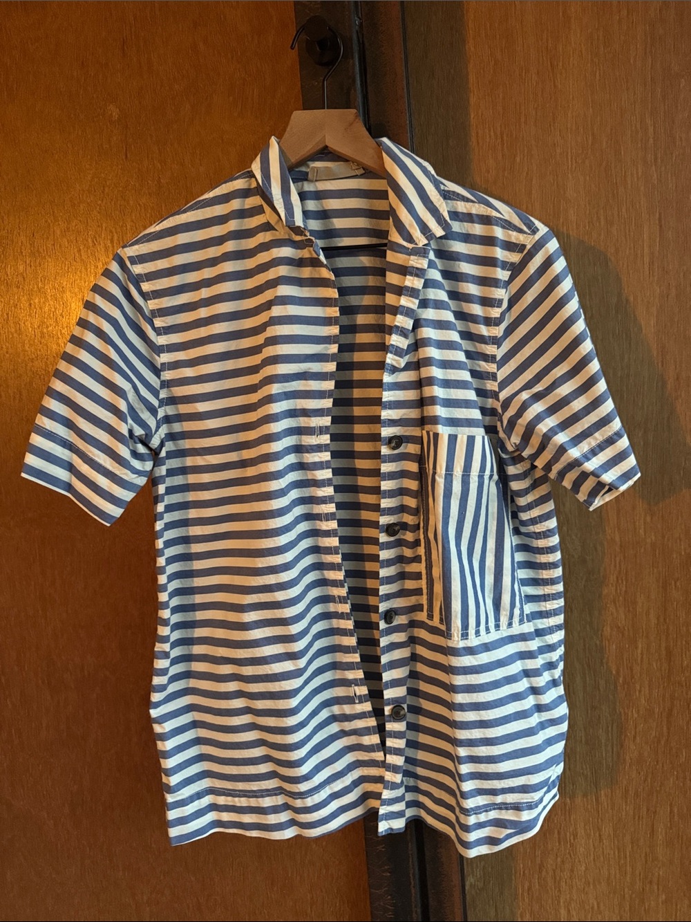 Everlane Blue and White Striped Short-Sleeve Button-Down Shirt